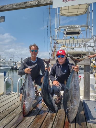 Extended Offshore Tuna