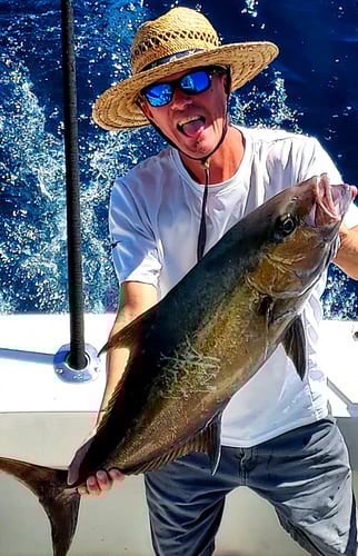 Offshore Full Day Trip - 55' Viking in Galveston