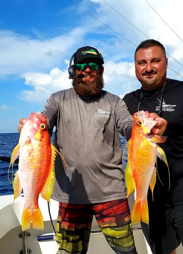 Offshore Full Day Trip - 55' Viking in Galveston