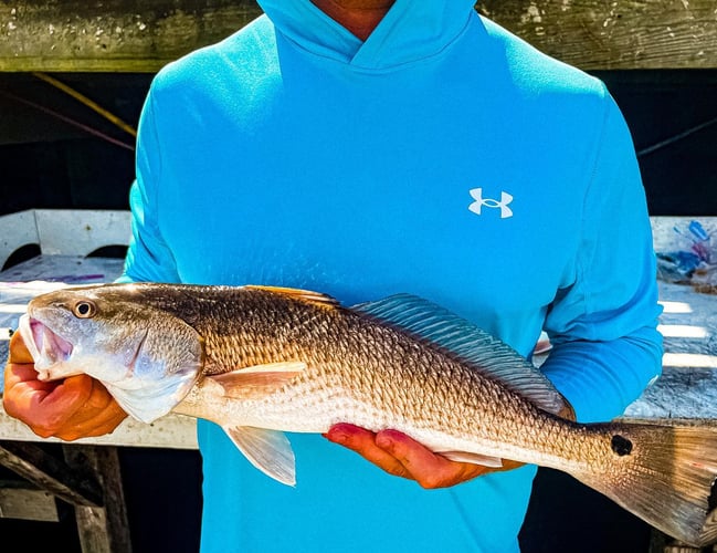Insane Inshore Trips In North Charleston