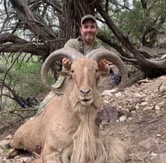 West Texas Aoudad Ram Hunt In Balmorhea