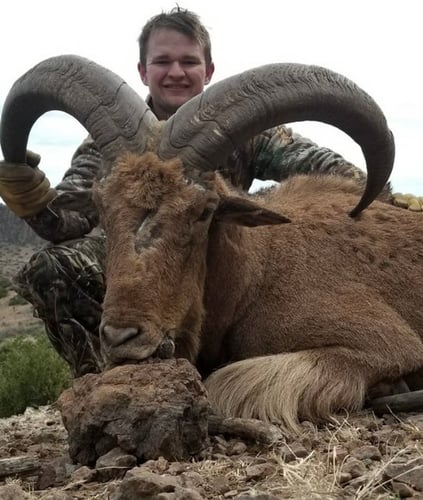 Hill Country Aoudad Ram Hunt In Rocksprings