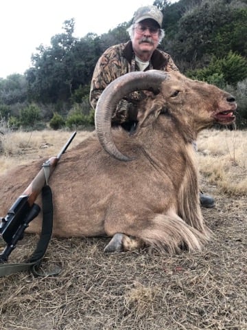 Hill Country Aoudad Ram Hunt In Rocksprings