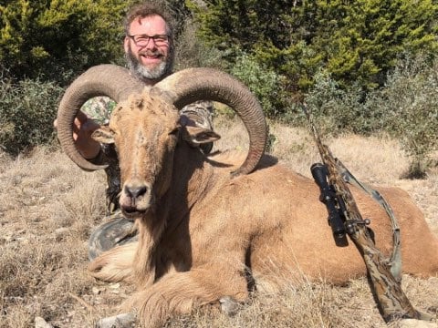 Hill Country Aoudad Ram Hunt In Rocksprings