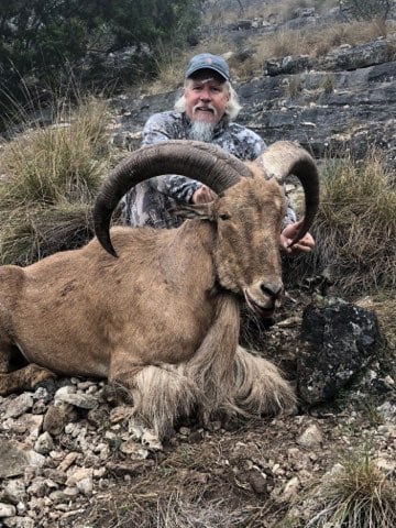 Hill Country Aoudad Ram Hunt In Rocksprings