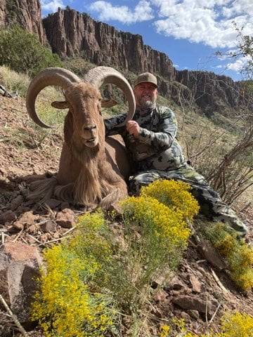 Hill Country Aoudad Ram Hunt In Rocksprings