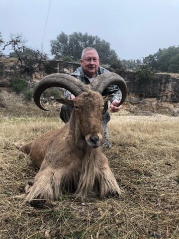 Hill Country Aoudad Ram Hunt In Rocksprings