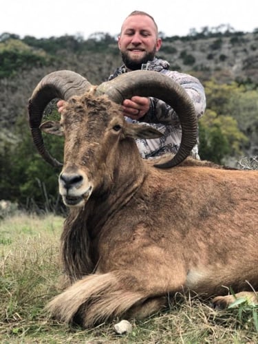 Hill Country Aoudad Ram Hunt In Rocksprings