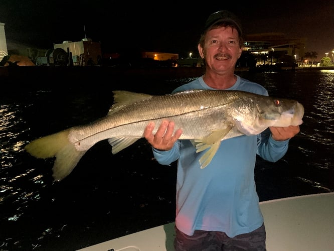Fort Lauderdale Snook And Tarpon In Plantation
