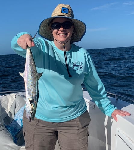 Gulfport Combo Classic in Gulfport