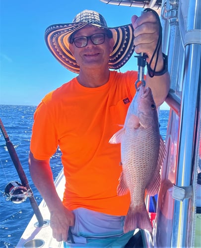 Gulfport Combo Classic in Gulfport
