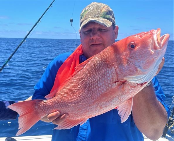 Gulfport Combo Classic in Gulfport