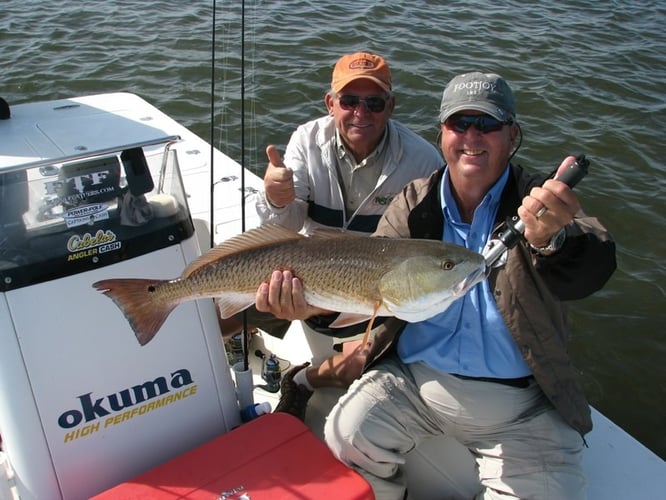 Picture-Perfect Inshore Trip In Steinhatchee