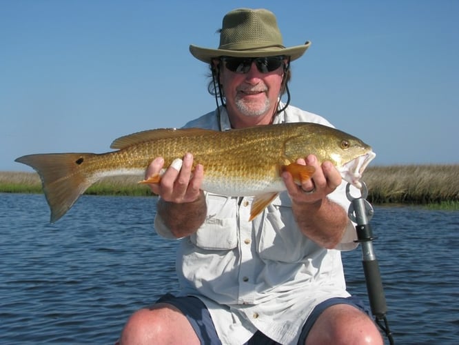 Picture-Perfect Inshore Trip In Steinhatchee