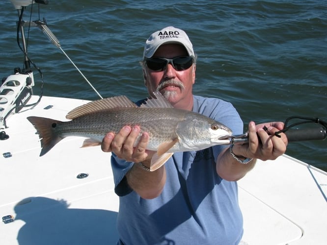 Picture-Perfect Inshore Trip In Steinhatchee