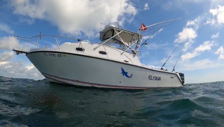 10-12 Hour Offshore in Ponce Inlet