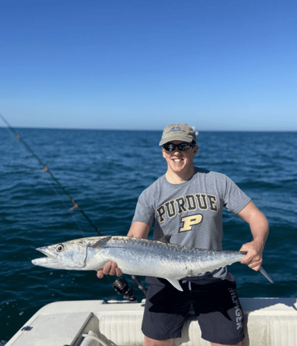 Bradenton Offshore Sportfishing In Bradenton Beach