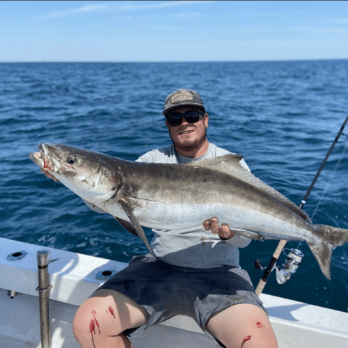 Bradenton Offshore Sportfishing In Bradenton Beach