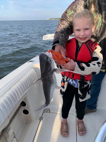 Family Fun In The Sun - 26’ Sea Fox In Orange Beach