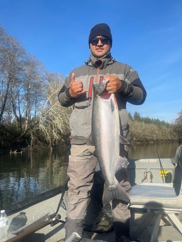 Fall Salmon Drift Trips In Montesano