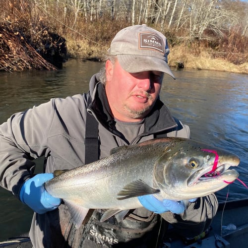 Fall Salmon Drift Trips In Montesano