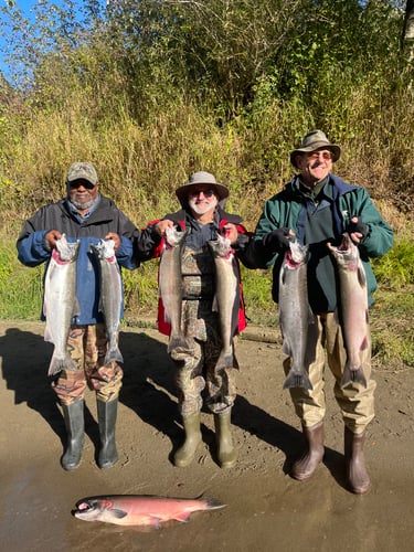 Fall Salmon Drift Trips In Montesano