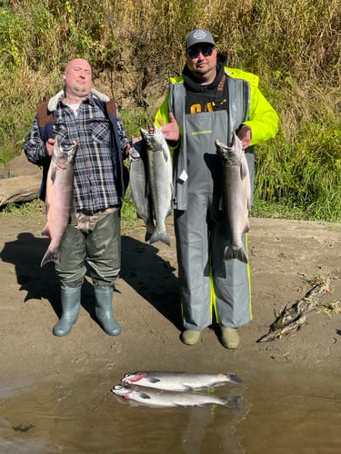 Fall Salmon Drift Trips In Montesano