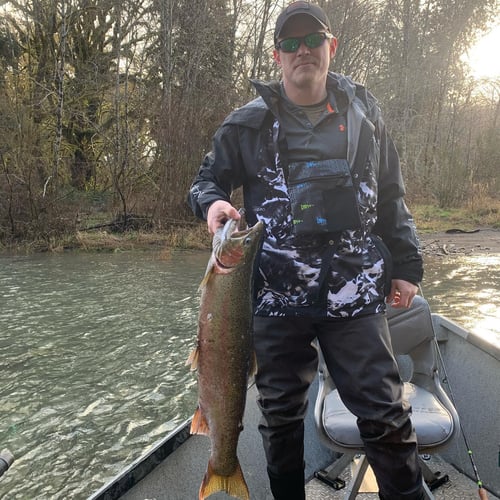 Fall Salmon Drift Trips In Montesano