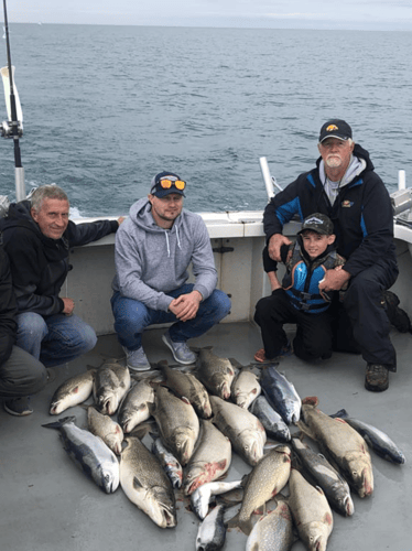 Late Trout, Salmon, And Steelhead In Kenosha