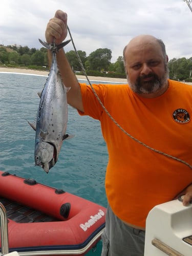 Halkidiki Tuna Fishing In Neos Marmaras