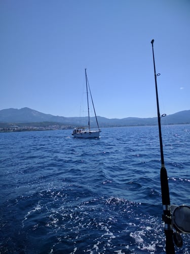 Halkidiki Tuna Fishing In Neos Marmaras