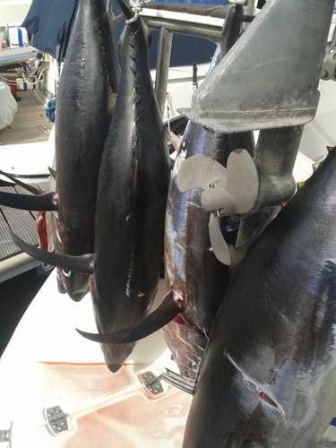 Sportfishing Halkidiki In Neos Marmaras