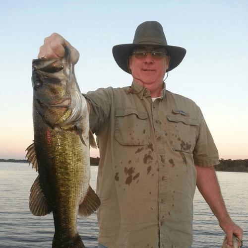 Sunset Bass & Night Gator Eco-Tour In Kissimmee