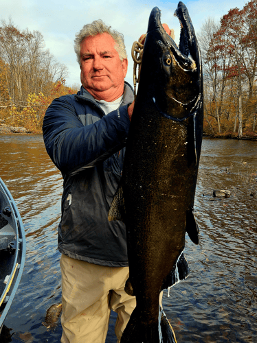 Salmon Driftboat Trip Salmon River NY In Pulaski