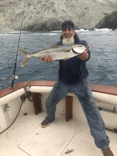 "Deep Blue" Offshore Trip In Long Beach