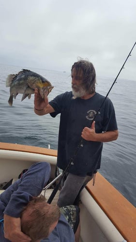 "Deep Blue" Offshore Trip In Long Beach