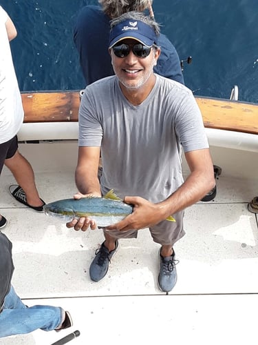 "Deep Blue" Offshore Trip In Long Beach