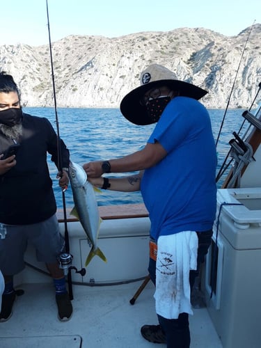 "Deep Blue" Offshore Trip In Long Beach
