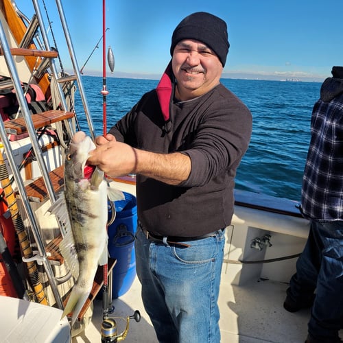 "Deep Blue" Offshore Trip In Long Beach