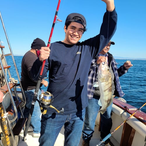 "Deep Blue" Offshore Trip In Long Beach