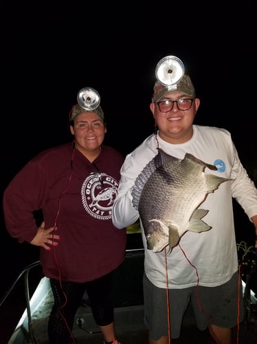 Night Bowfishing (4 Hours) In Kissimmee