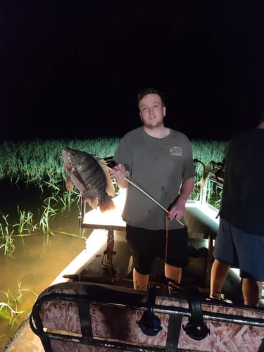 Night Bowfishing (4 Hours) In Kissimmee