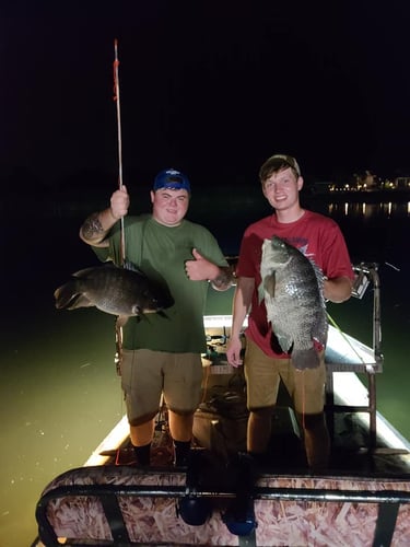 Night Bowfishing (4 Hours) In Kissimmee