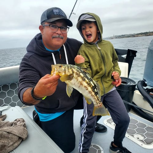 Jetties, Reefs, And Kelp—Oh My! In Newport Beach