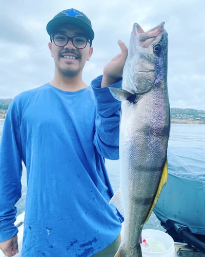 Jetties, Reefs, And Kelp—Oh My! In Newport Beach