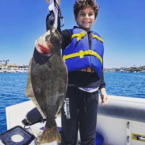 Jetties, Reefs, And Kelp—Oh My! In Newport Beach