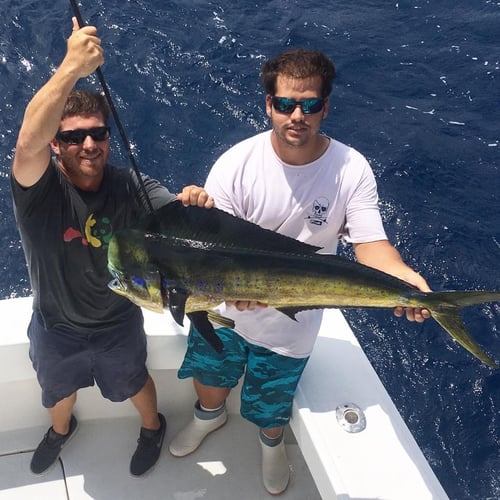 Full Day Hardcore Offshore Trip In Key Biscayne