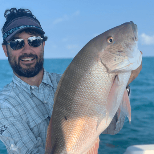 Barrier Reef Snappers And More In Islamorada