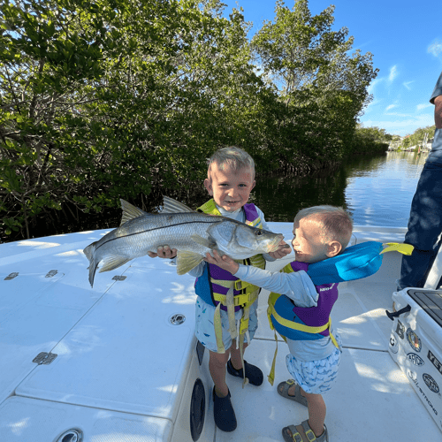 Southwest Florida Fishing Adventure In Sarasota
