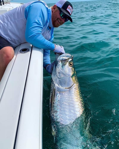 Boca Grande Pass Tarpon in Captiva